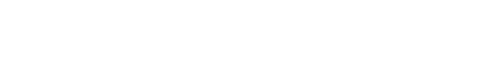 公司優勢